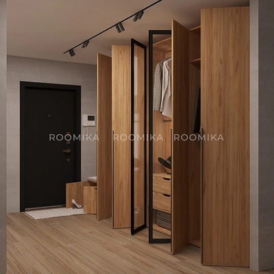 Шкафы для прихожей Лацио 26