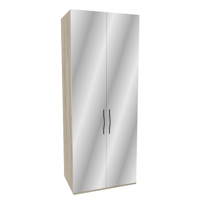 Шкаф 2 дверный с зеркалом P210Z