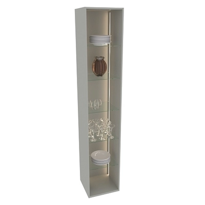 Шкаф со стеклянными фасадом полки стекло с подсветкой R220.1