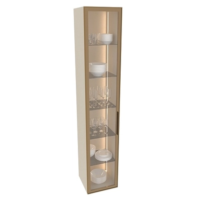 Шкаф со стеклянными фасадом полки стекло с подсветкой R220.1