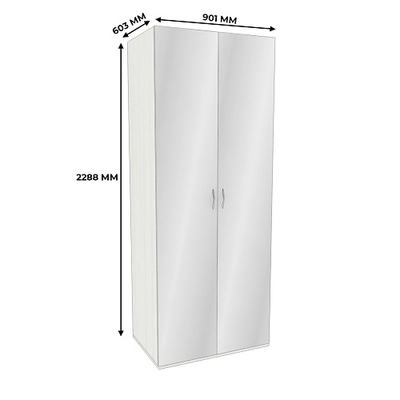 Шкаф 2 дверный с зеркалом P210Z