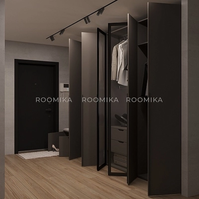 Шкафы для прихожей Лацио 25