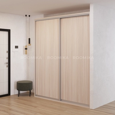 Шкаф-купе U201 тип 2