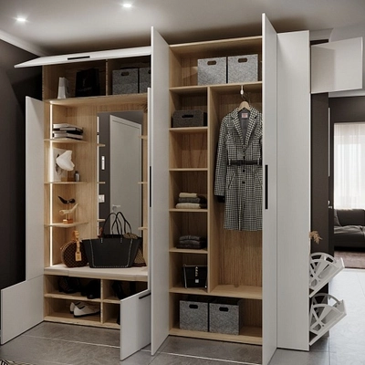 Шкафы для прихожей Лацио 1