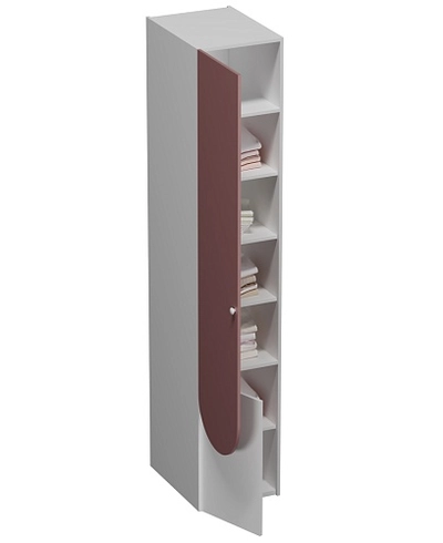 Шкаф для одежды L251.60-3 L/R