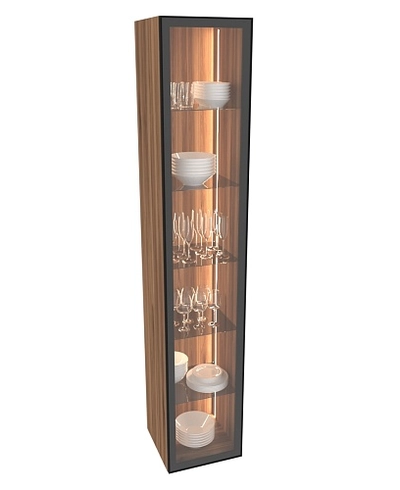 Шкаф со стеклянными фасадом полки стекло с подсветкой R220.1