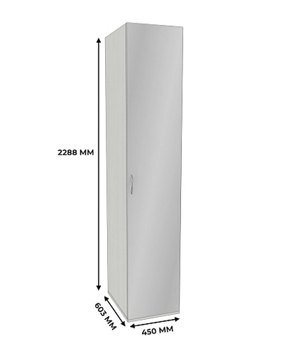 Шкаф 1 дверный узкий с зеркалом P220.60Z