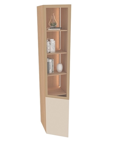 Шкаф со стеклянным фасадом с подсветкой R221