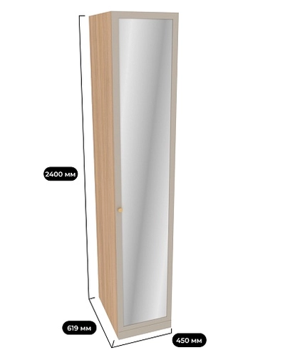 Шкаф одноверный для одежды  с зеркалом A220.60-1Z