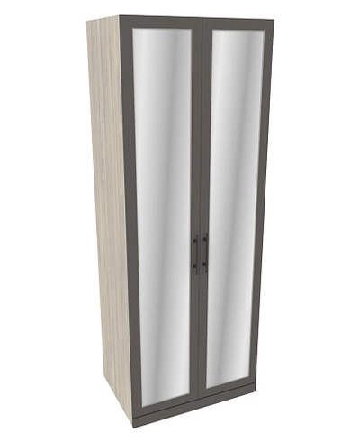 Шкаф двухдверный с зеркалом А210.60-2Z