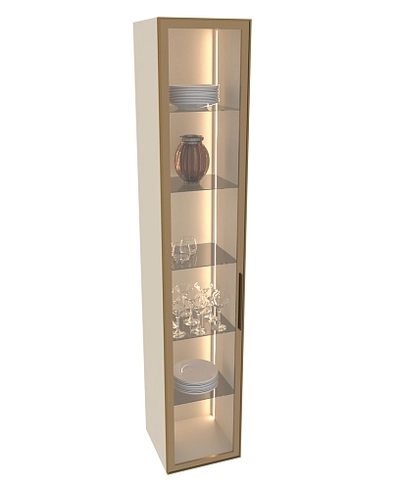 Шкаф со стеклянными фасадом полки стекло R220.1