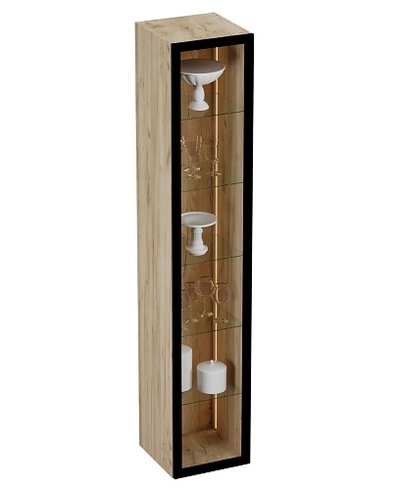 Шкаф со стеклянными фасадом полки стекло с подсветкой R220.1