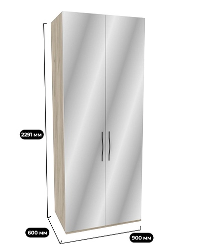 Шкаф 2 дверный с зеркалом P210Z