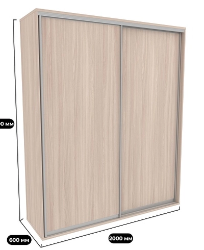 Шкаф-купе U201 тип 2