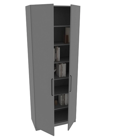 Шкаф для книг и одежды А214