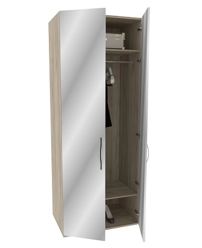 Шкаф 2 дверный с зеркалом P210Z