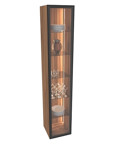 Шкаф со стеклянными фасадом полки стекло R220.1