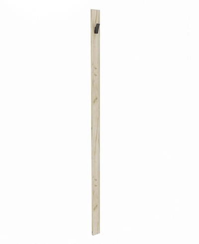 Панель узкая с крючками L100.1