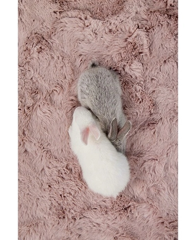 Ковер Rabbit Rose 180x280