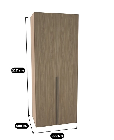 Шкаф 2 дверный P210