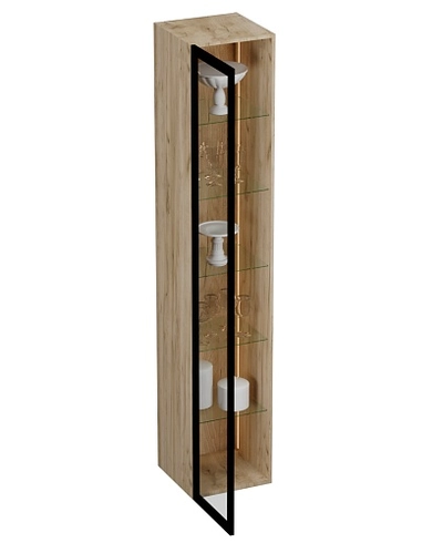 Шкаф со стеклянными фасадом полки стекло с подсветкой R220.1