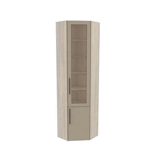 Шкаф угловой книжный со стеклом L247 с подсветкой