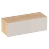 Антресоль с двумя откидными дверями R312.45