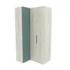 Шкаф угловой со складной дверью E209 L/R