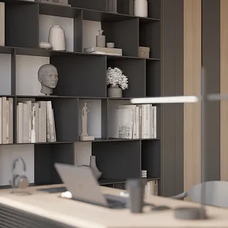 Кабинет со стеллажом №5