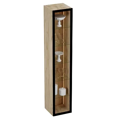 Шкаф со стеклянными фасадом полки стекло с подсветкой R220.1