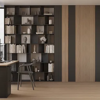 Кабинет со стеллажом №5