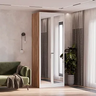 Шкаф двухдверный с зеркалом А210.60-1Z