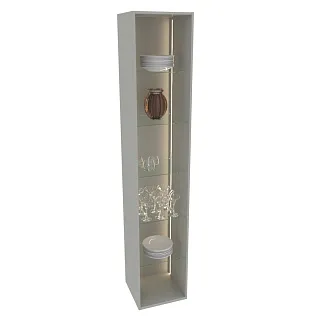 Шкаф со стеклянными фасадом полки стекло с подсветкой R220.1