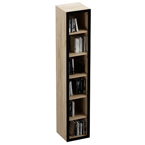 Шкаф со стеклянными фасадом R220.2