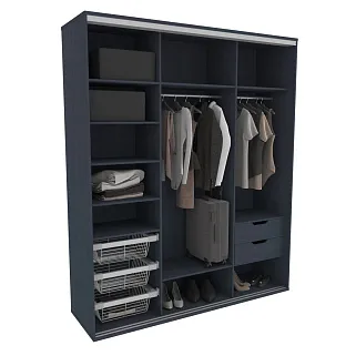 Шкаф-купе U200 тип 1 МДФ/зеркало