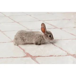 Ковер Vivica White.Rose 160x230