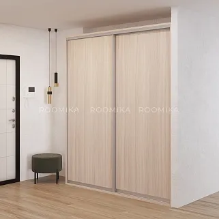 Шкаф-купе U201 тип 2