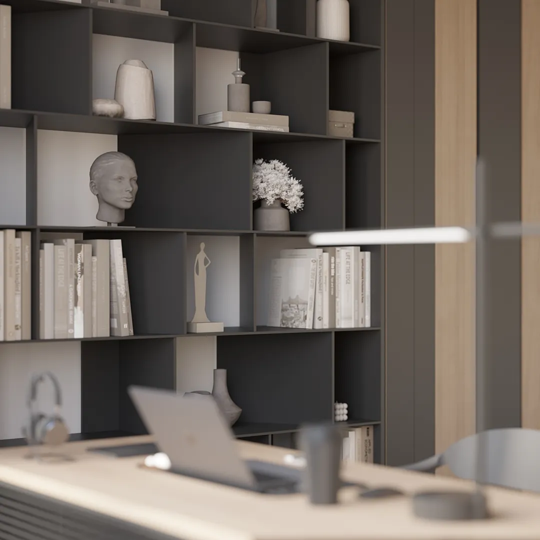 Кабинет со стеллажом №5