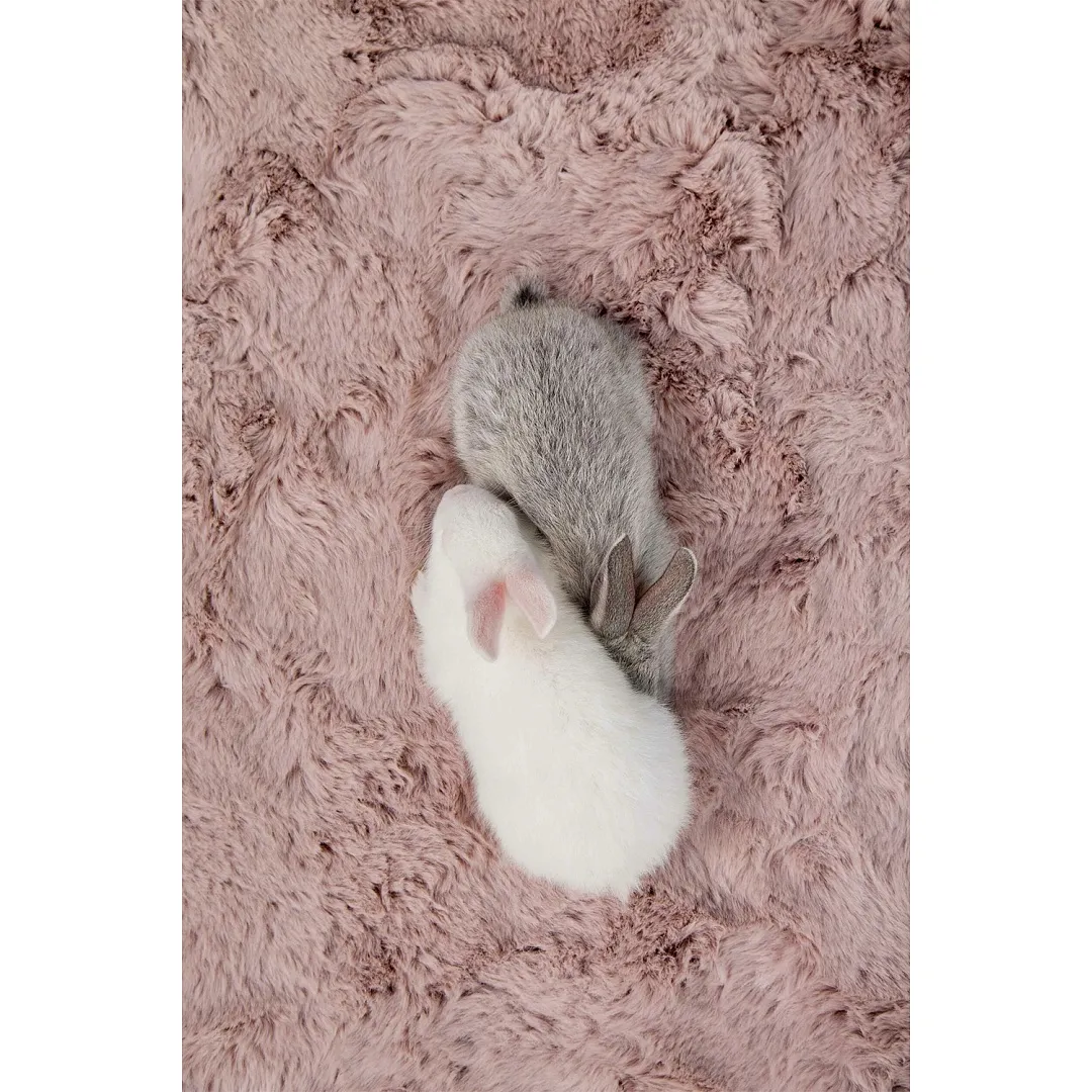 Ковер Rabbit Rose 180x280