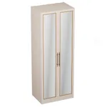 Шкаф двухдверный с зеркалом А210.60-3Z