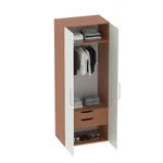 Шкаф двустворчатый LG-210.60-3