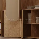 Шкаф для одежды и книг L251.44-3 L/R