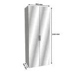 Шкаф двустворчатый с зеркалом LG-210.60-1Z