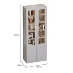 Шкаф книжный со стеклом, фасады в эмали с подсветкой LE214S