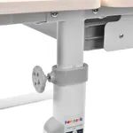 Комплект парта + стул трансформеры Carezza Grey-w FUNDESK