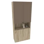 Шкаф для одежды с фальш панелью А212.1