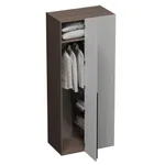 Шкаф с распашным фасадом и фальш-панелью LG245.60 L/R