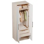 Шкаф двухдверный с зеркалом А210.60-3Z