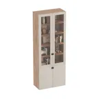 Шкаф книжный с подсветкой LG214S