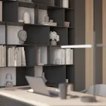 Кабинет со стеллажом №5